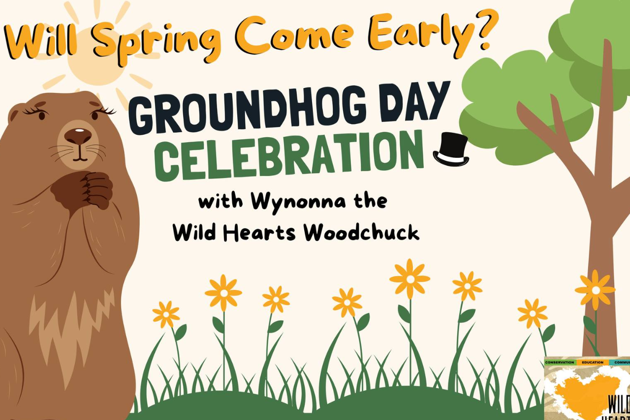 Illustrated groundhog with clasped hands stands among flowers.
